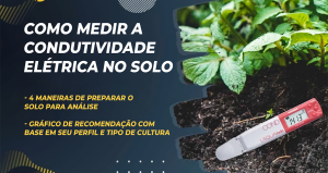 Como Calcular a Condutividade Elétrica (CE) do Solo