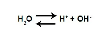 Hidrônios H+ e Hidróxidos OH- na equação de autoionização da água